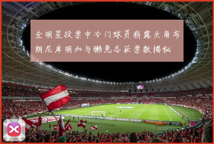 全明星投票中冷门球员崭露头角布朗尼库明加与獭兔各获票数揭秘