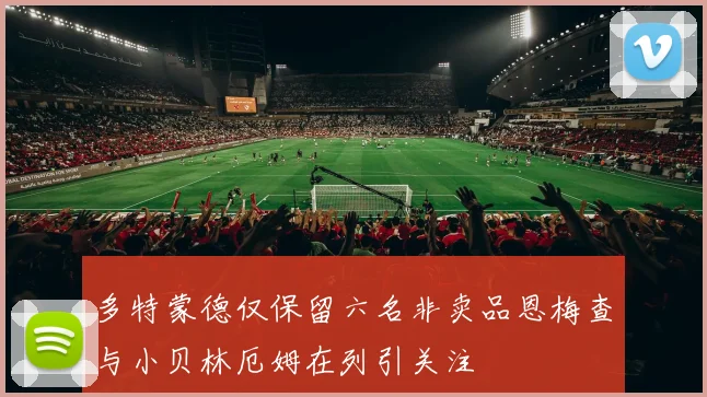 多特蒙德仅保留六名非卖品恩梅查与小贝林厄姆在列引关注